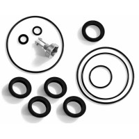 25013 Комплект уплотнителей и воздушного спускного клапана для песчаных фильтр-насосов